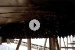 chevron vid