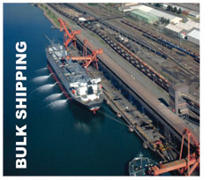 belt cleaners, conveyor belt